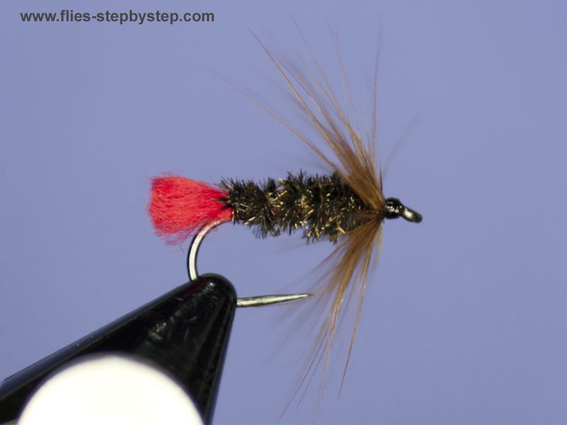 Wet Red Tag - classic fly - How to tie fly, Fly tying Step by Step ...