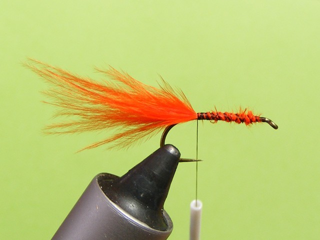 Hot Orange - fly for rainbow trout - Fly tying step by step Patterns &  Tutorials