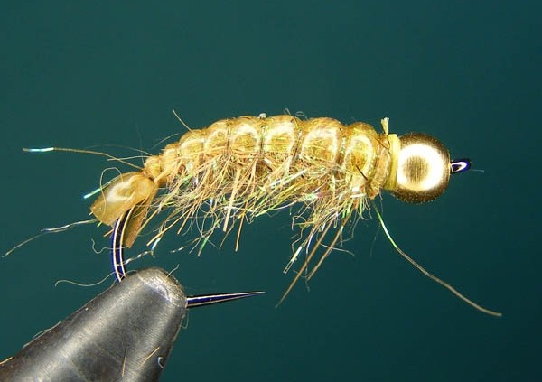 larwa chruścika