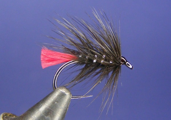 Black zulu fly