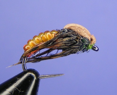 mucha Amber Caddis Pupa