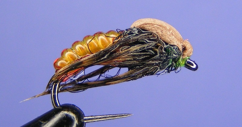 mucha Amber Caddis Pupa