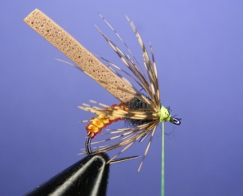 Amber Caddisfly Pupa - Fly tying step by step Patterns & Tutorials