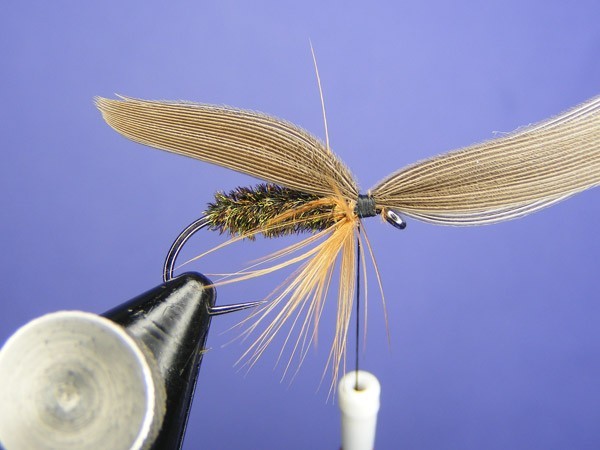 Lead Wing Coachman - Fly tying step by step Patterns & Tutorials