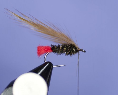 Wet Red Tag - classic fly - Fly tying step by step Patterns & Tutorials