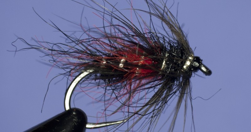 Bibio - classic wet fly - Fly tying step by step Patterns & Tutorials