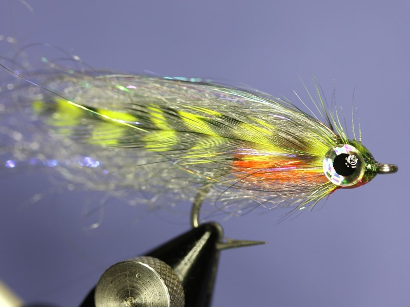 Baitfish streamer fly - Fly tying step by step Patterns & Tutorials