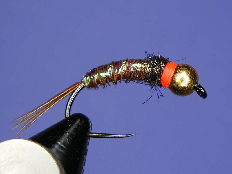Flashback Pheasant Tail Nymph - Fly tying step by step Patterns & Tutorials
