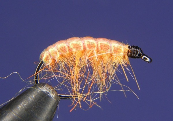 Orange scud - Fly tying step by step Patterns & Tutorials