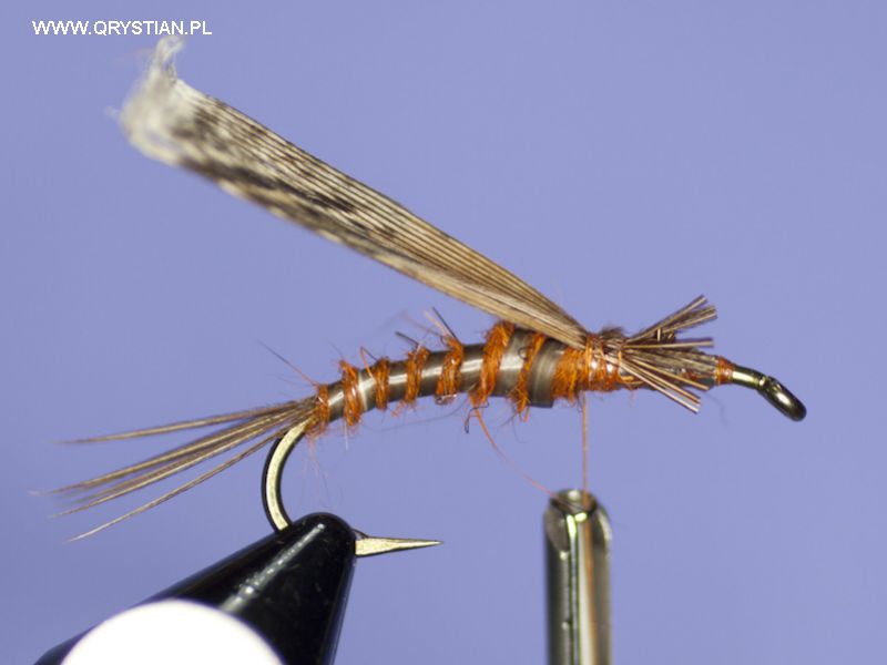 Stonefly nymph - Fly tying step by step Patterns & Tutorials