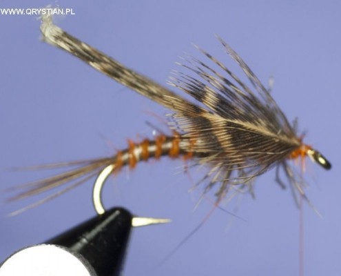 Stonefly nymph - Fly tying step by step Patterns & Tutorials