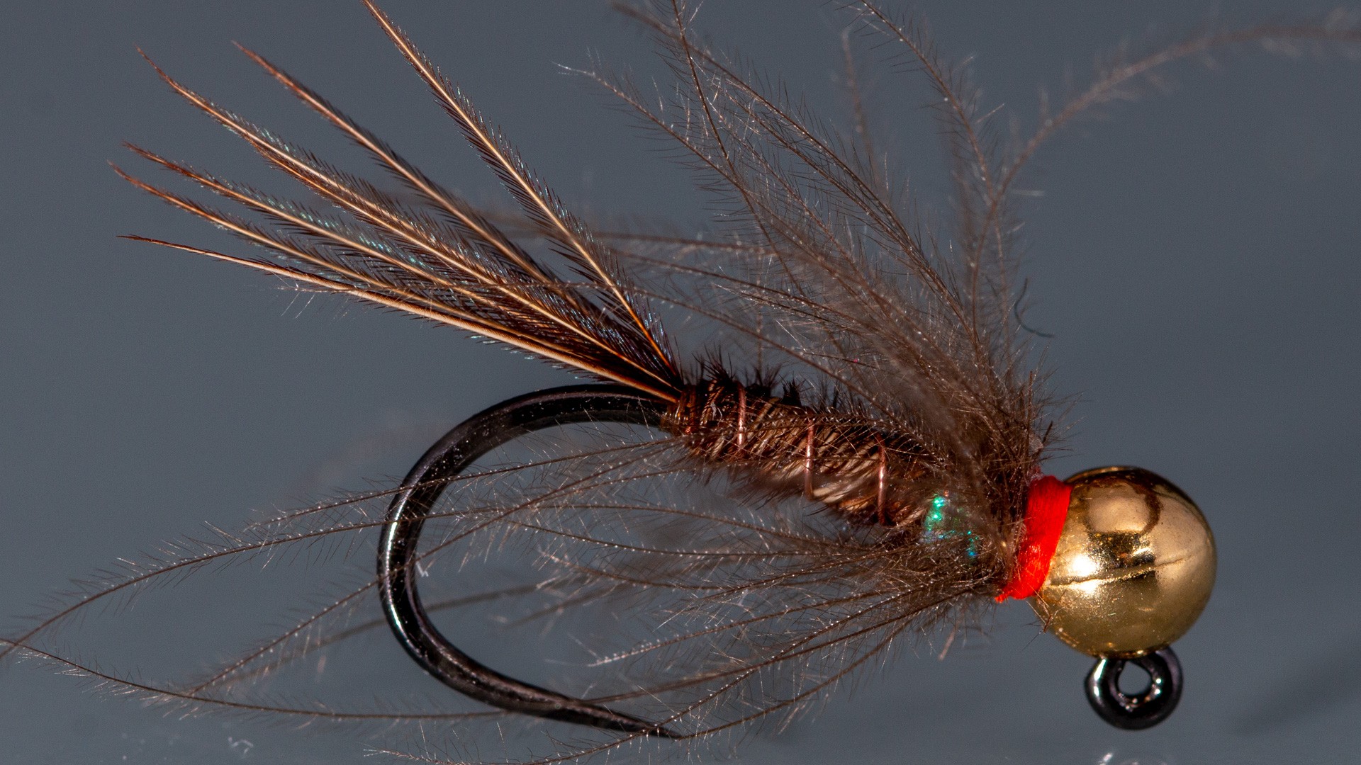 Pheasant tail jig nymph with CdC hackle
